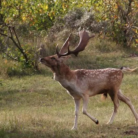 The & Town - Free Parking 赞德沃特