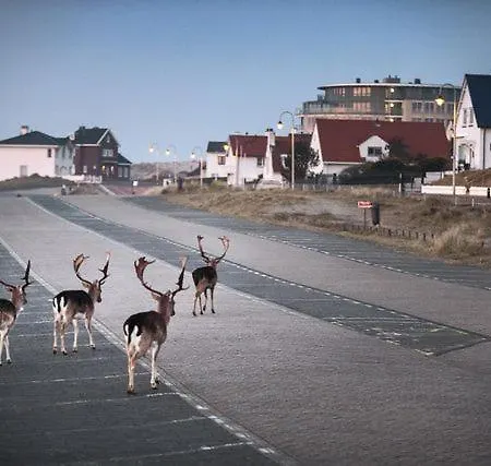 Appartement The & Town - Free Parking Zandvoort