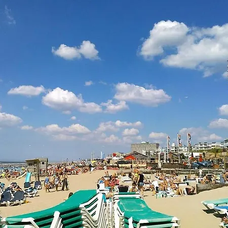 Beach&dunes * Zandvoort