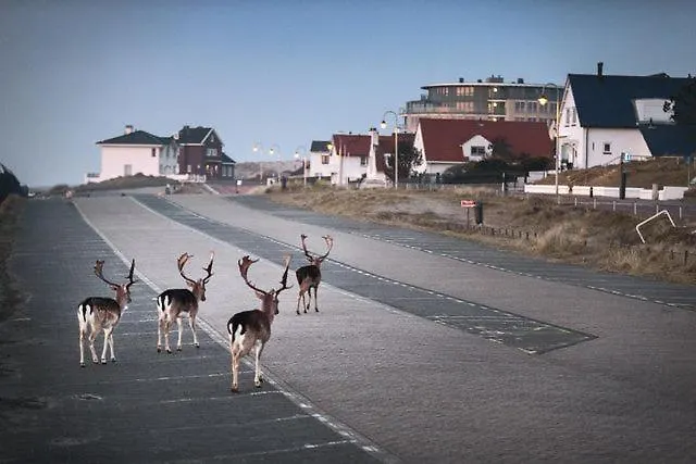 Apartamento The & Town - Free Parking Zandvoort