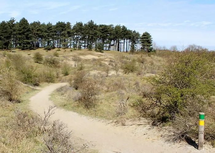 The & Town - Free Parking * Zandvoort