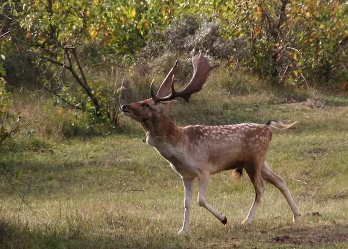 The & Town - Free Parking Zandvoort